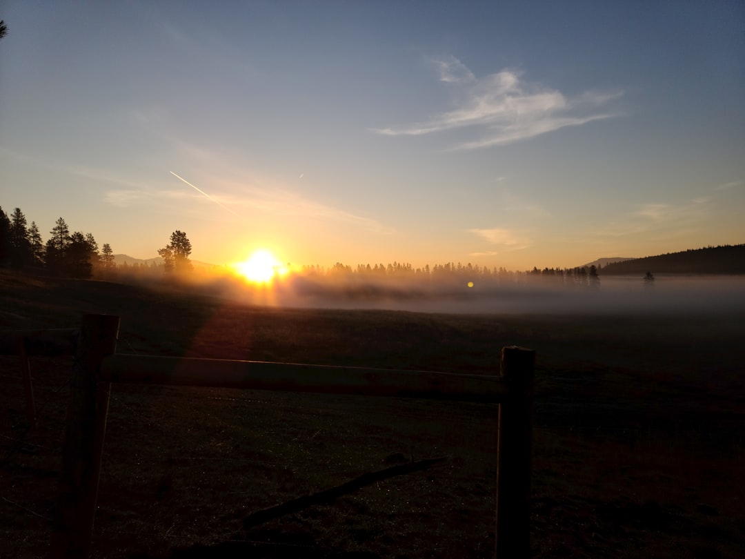 Programa Renovación Matutina